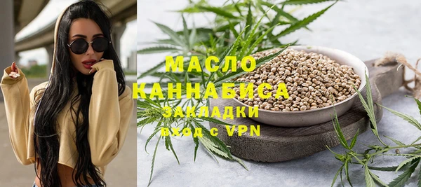 хмурый Мегион