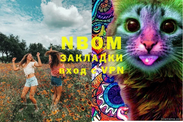 хмурый Мегион