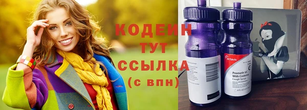хмурый Мегион