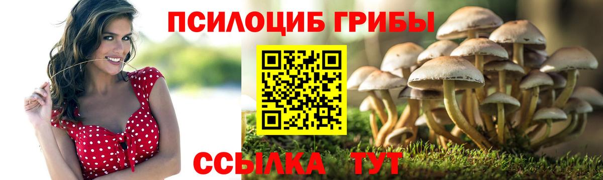 Галлюциногенные грибы Magic Shrooms  Волжский  Галлюциногенные грибы MAGIC MUSHROOMS 