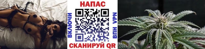 Конопля ГИДРОПОН  Волжский 