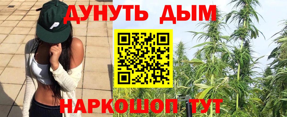 Бошки марихуана гибрид Волжский